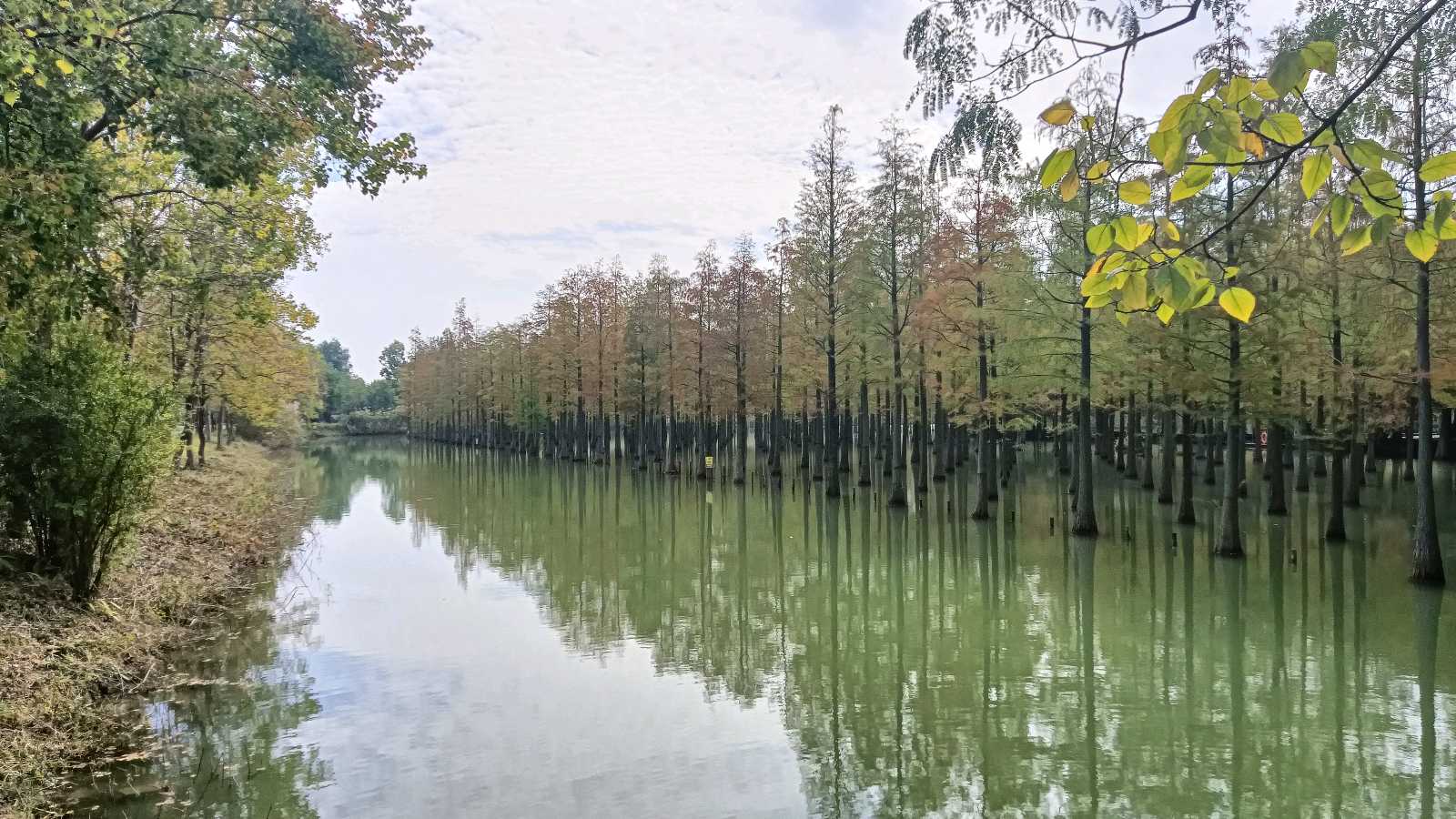 中华诗词”苏酒•天绣”泗洪金秋笔会（图3）