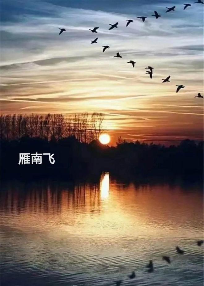 【国风燕赵诗社】第22期综合刊与您共享!(图18)