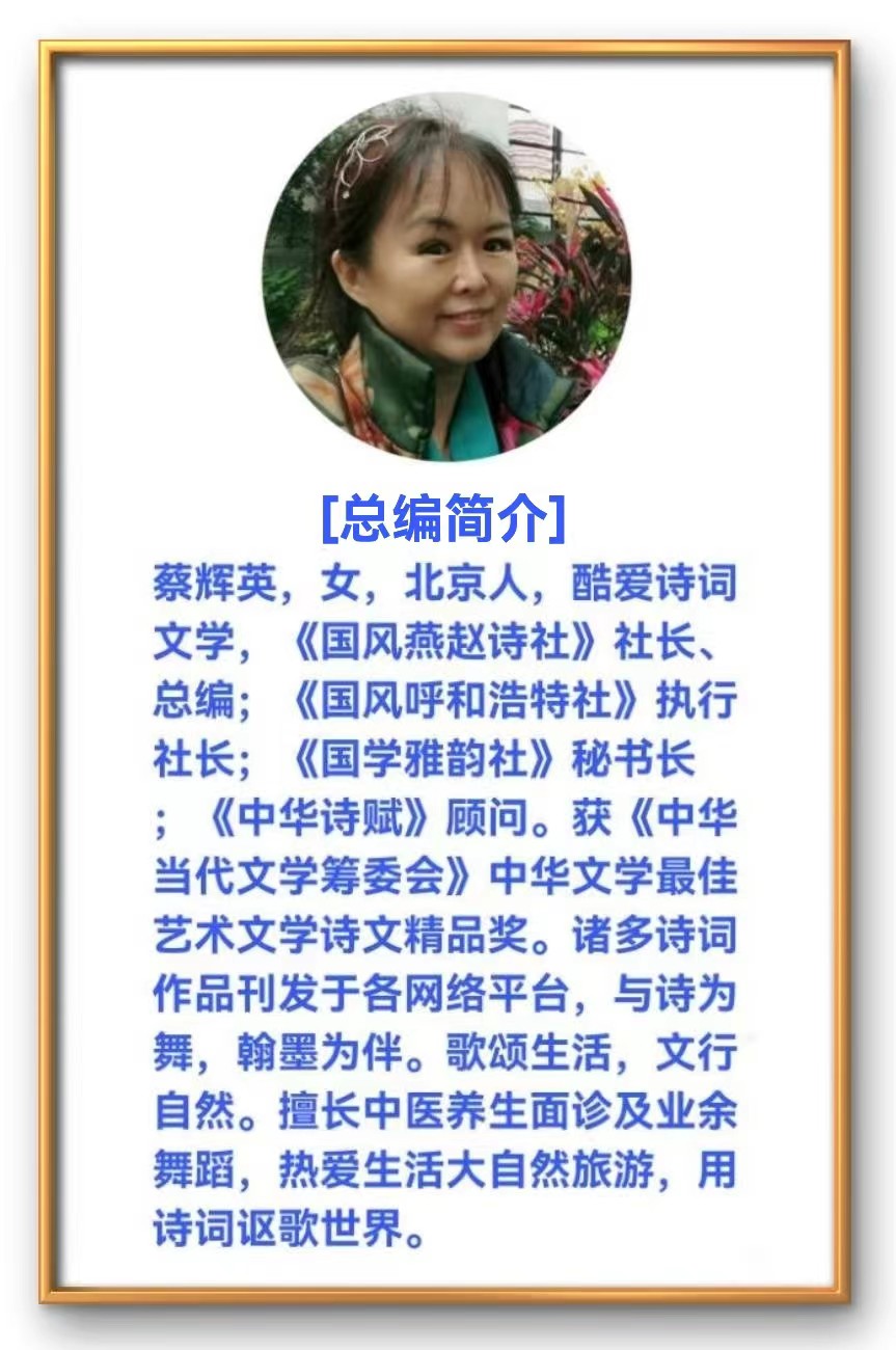 【国风燕赵诗社】第22期综合刊与您共享!(图38)