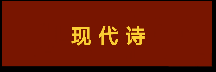 杨玉才三行诗选/中华诗艺社黑龙江分社推荐（图4）