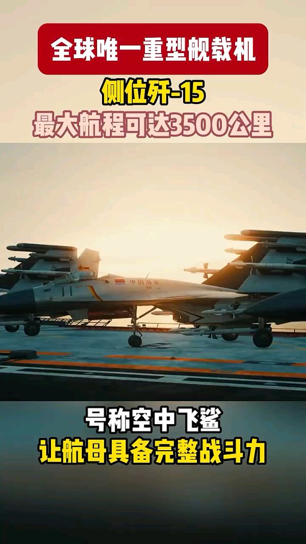 舰载飞鲨——纪念人民空军成立75周年～诗||李耀文（图16）