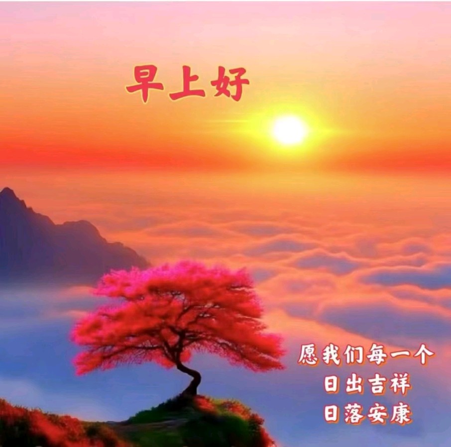 【经典推荐】鲁坡//曼舞轻歌度岁欢[经历风雨不言愁]（图5）