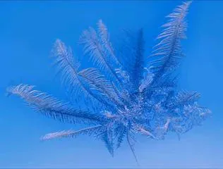 【明心文学】明心/久违的霜花 主播/舒心快乐（图3）