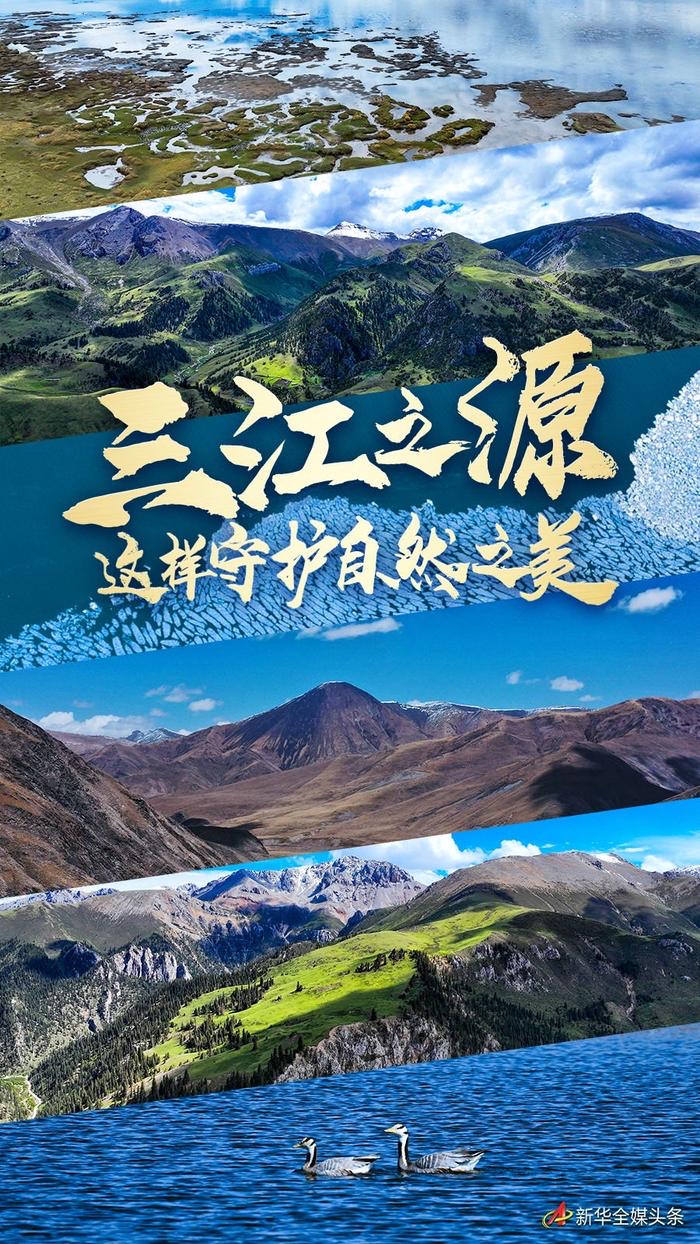 霜扣儿：《三江源之悟》海外头条（图5）