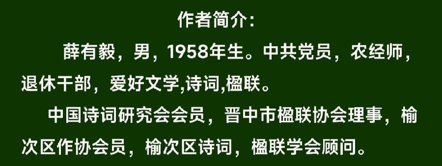 薛有毅(山西榆次)诗词联精选(十六)/中华诗艺社黑龙江分社推荐（图16）