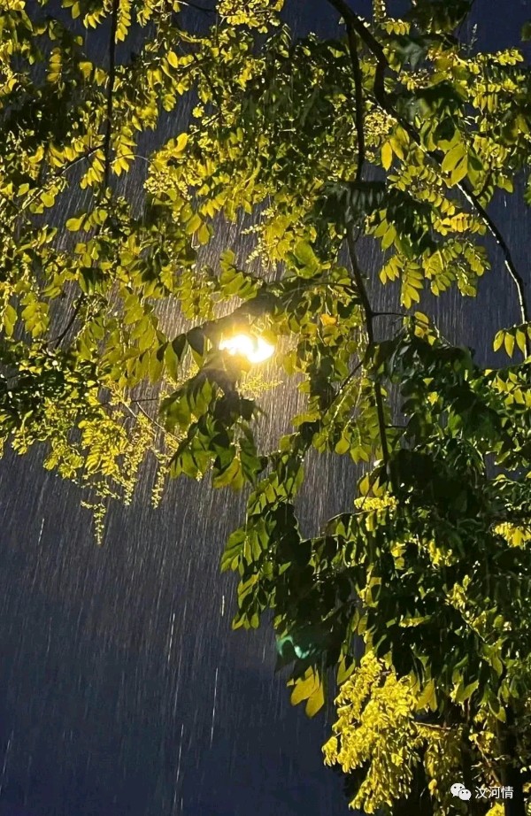 刘锁海初冬夜雨(一)初冬夜雨(二）（图3）