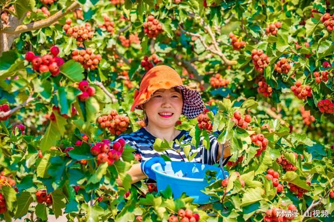 年广林：脱俗出新入佳境‖巴彦诗词楹联协会【769】（图3）