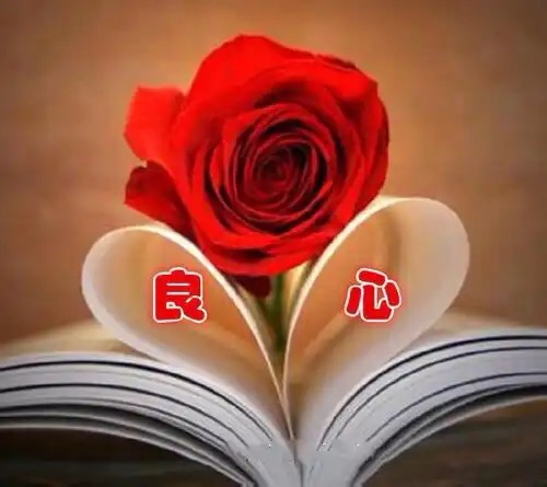 梦萱：《狗与良心》海外头条（图5）