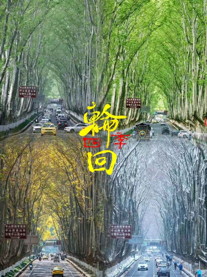 远方的诗～诗||闫国伟（图9）