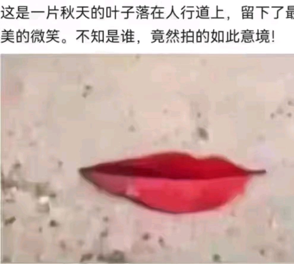 七律-抛绣球（外一首）诗||雅轩琴韵（图16）