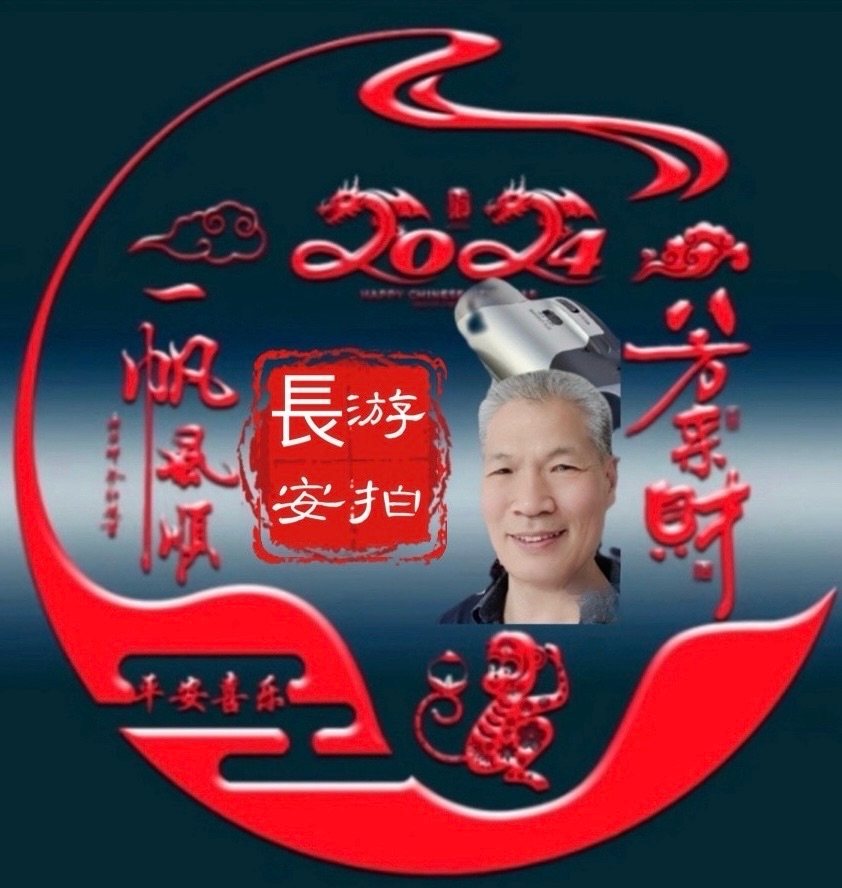 【❄️冬景集】B第36集（图4）
