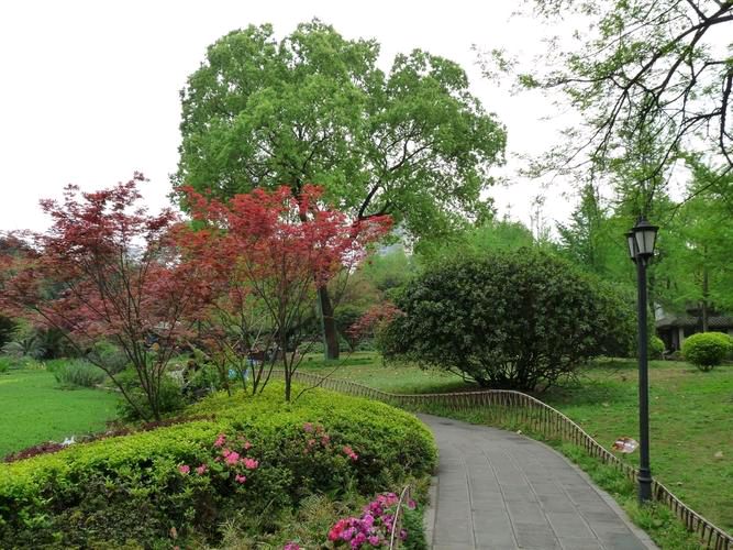 【电视剧联播3】豪门风云（三十集电视剧）文/汤文来第三集：决定 金牌主播/回归自然
