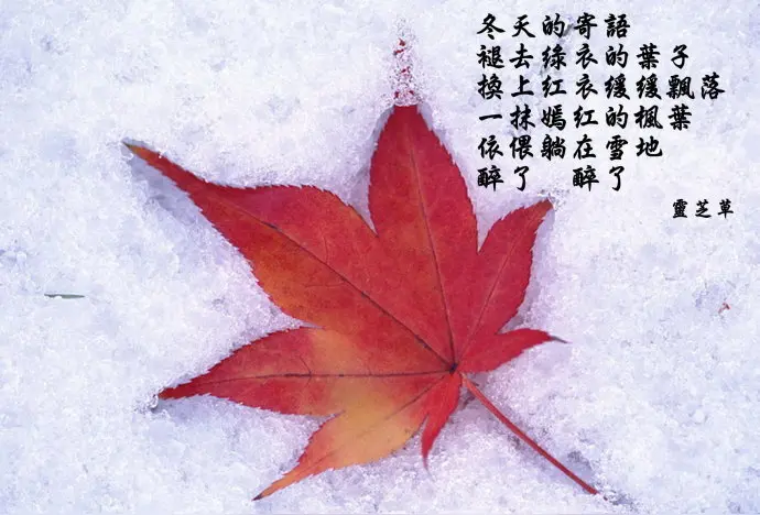 《刘文波著名现代诗人古诗七律赏析》作者刘文波 [中国现代诗歌文化传媒]（图6）