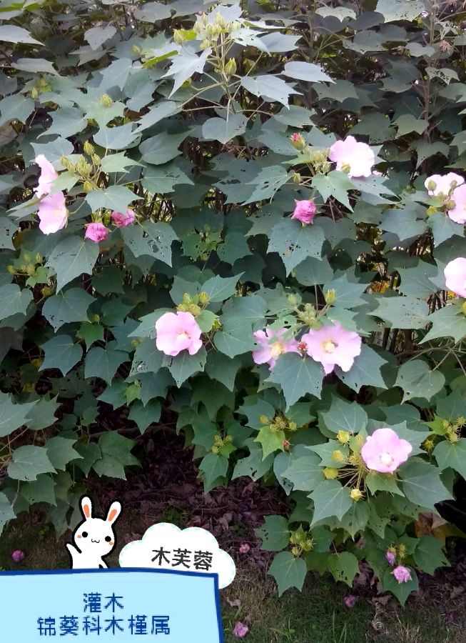 《刘文波著名现代诗人古诗七律赏析》作者刘文波 [中国现代诗歌文化传媒]（图7）