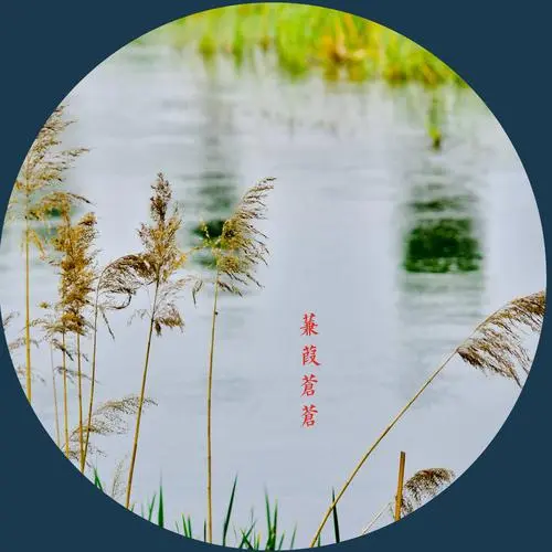 【新山东文学社】《飘零的思雨》作者/樊志刚 主播/红叶(图6)