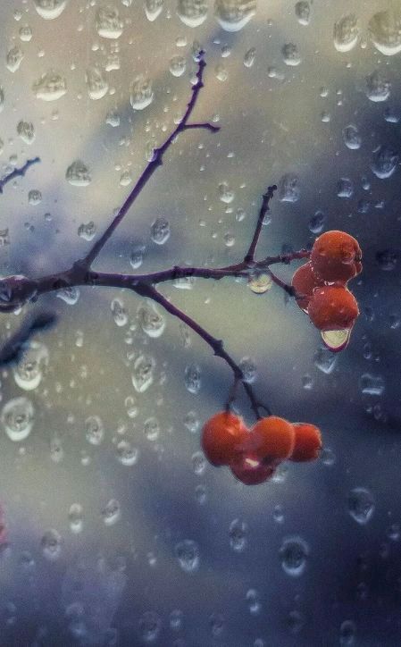 七律-冬雨（外一首）诗||王政（图16）