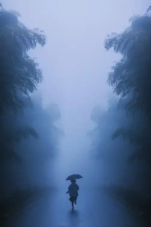 七律-冬雨（外一首）诗||王政（图15）