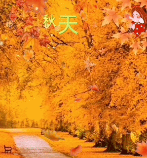朗诵《秋天的爱》主播：化虹、阳光雨露、田英华、致远方、保龄、楚濋、布丁、戚悦、紫菀、净雅朵朵、闲卧松云，作者：小星星