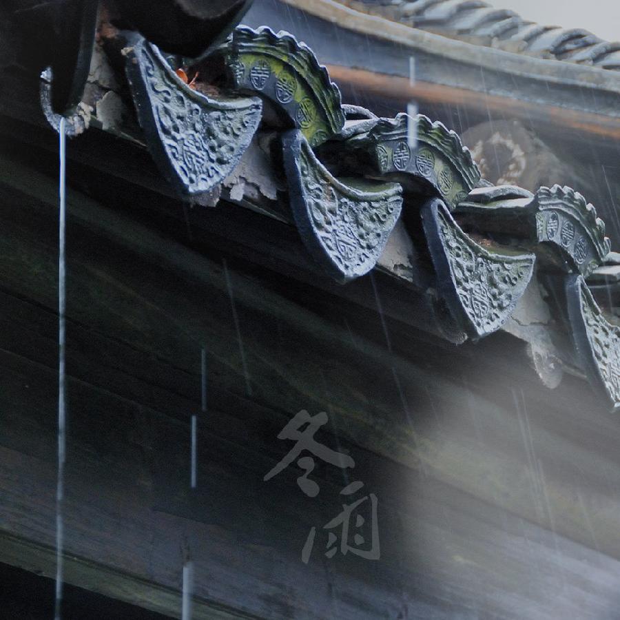 【九月茶韵文学诗社】刘林丽诗歌作品《冬雨》主播 春姗如笑 编辑制作 刘林丽（图2）