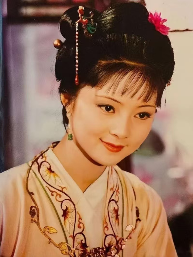张雅:《红楼吟》十二钗组诗|海外头条(图6)