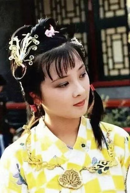 张雅:《红楼吟》十二钗组诗|海外头条(图12)