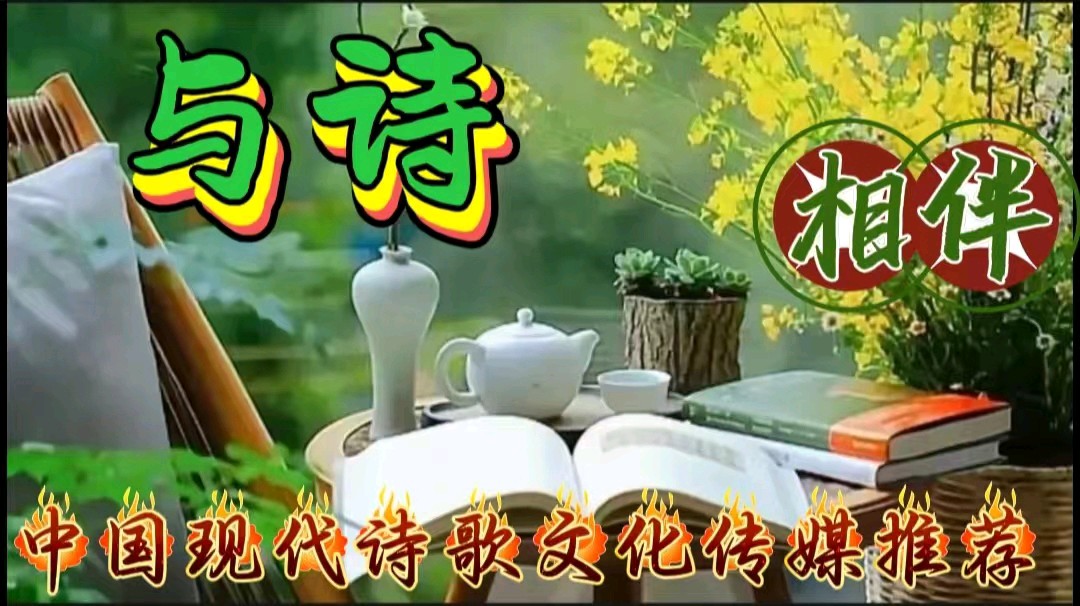 《情书》作者回泉山人 诵读:百合 [中国现代诗歌文化传媒]（图5）