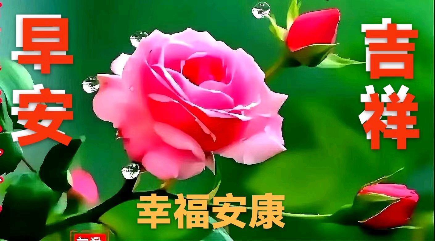 《九江文学社：北京头条》《大兜的日记》15.“小家伙”还好吗？（图2）