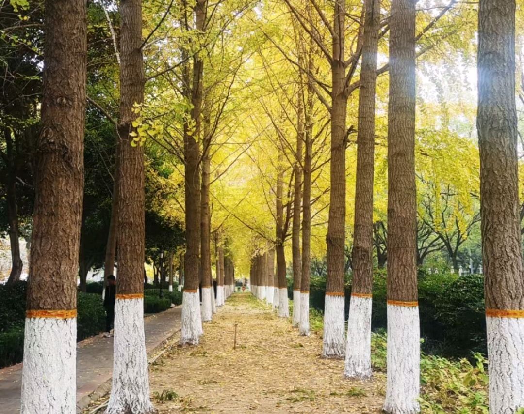 随感（外二首）（图2）