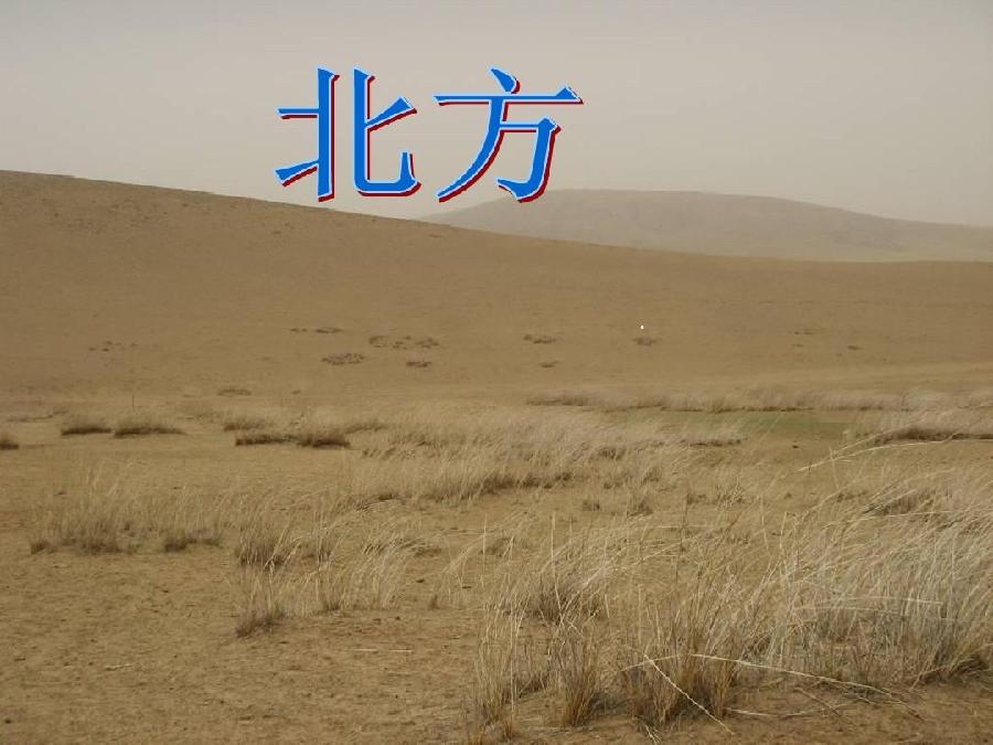 云淡风轻：《北方，北方》海外头条（图5）
