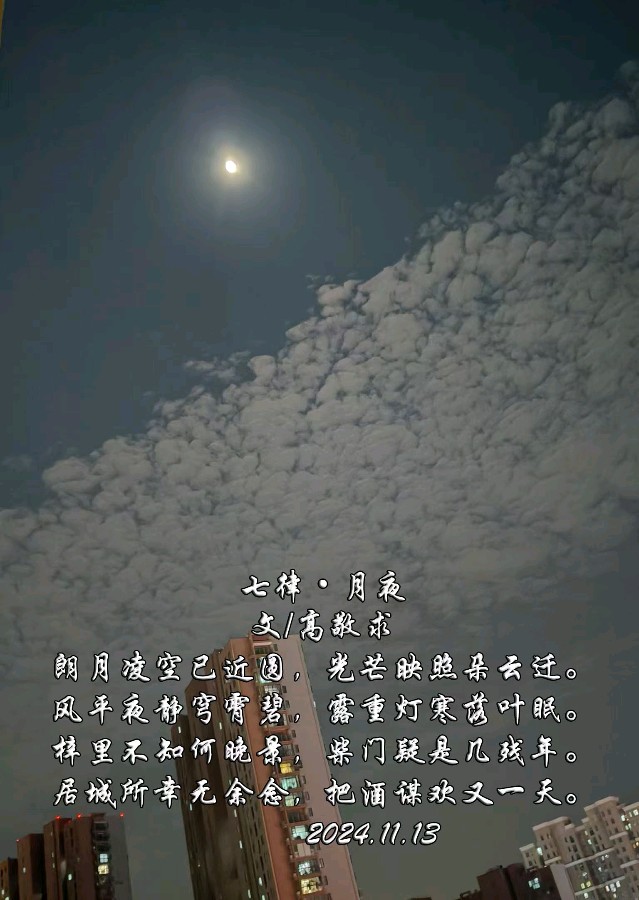 《七律 · 月夜》文/高敬求（图2）