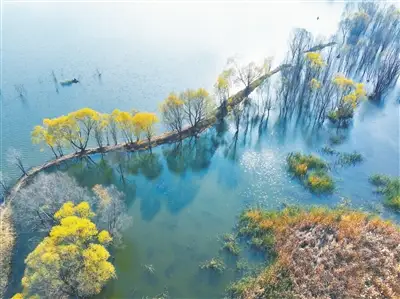 一斛珠·秋冬之际湿地行吟（文/张华兴）……莲叶之珠文学社（图7）