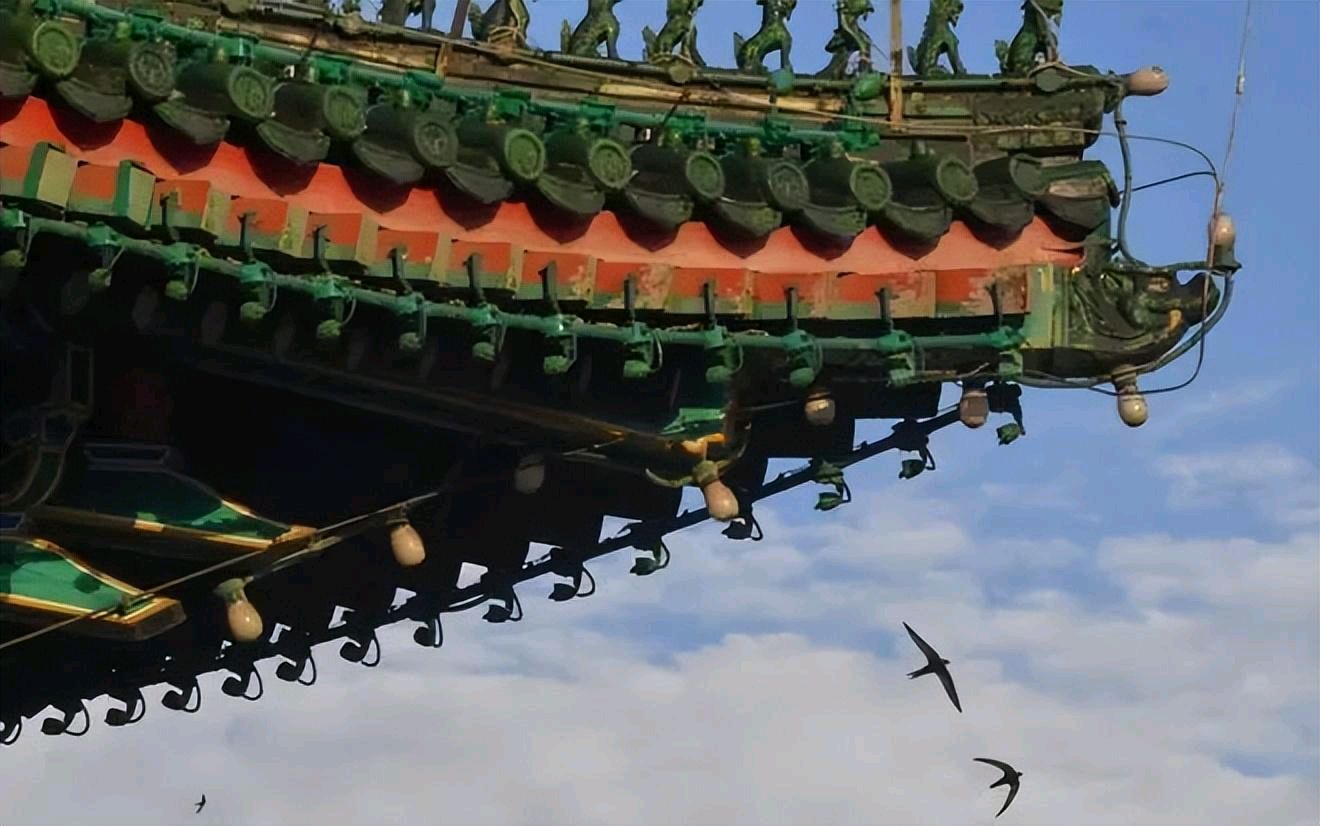 聆听 ‖ 弘华朗诵《精灵》作者/雷金钟（图5）