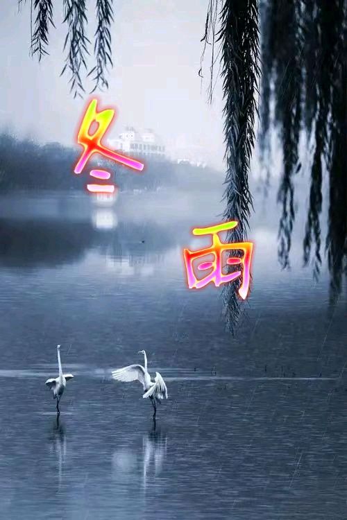 冬雨～诗||李永康（图9）