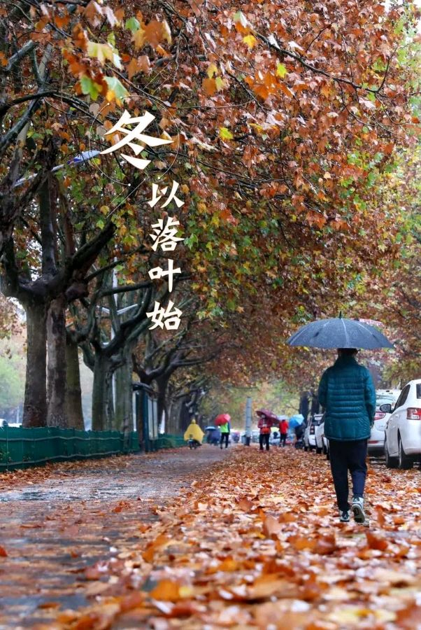 冬雨～诗||李永康（图8）