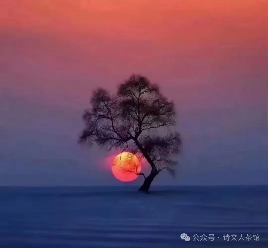 纤夫：铁石朗诵《给孤独以暖》海外头条（图6）