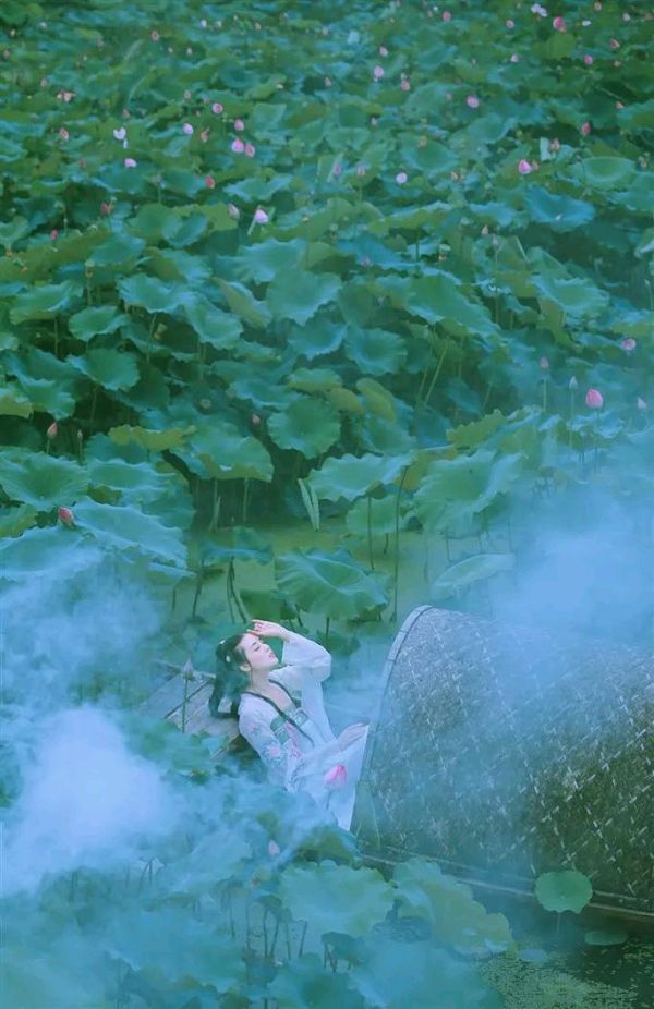 七律-花妖恋曲～诗||雅轩琴韵（图9）