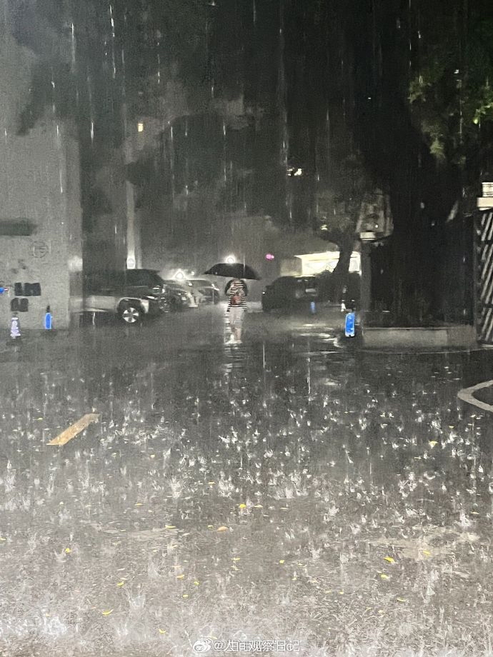 韩兰娜：《孩子会穿过大雨》海外头条（图5）
