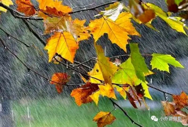 【人民文艺】诗评：《迟来的秋雨》不失为一首好诗‖杨梓辰（图2）