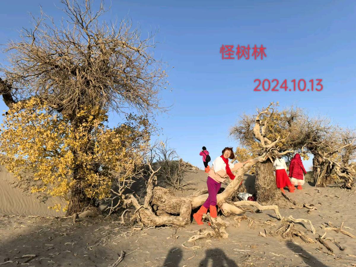 聆听 ‖ 菊花朗诵《圆梦胡杨》作者/蒲扇（图5）