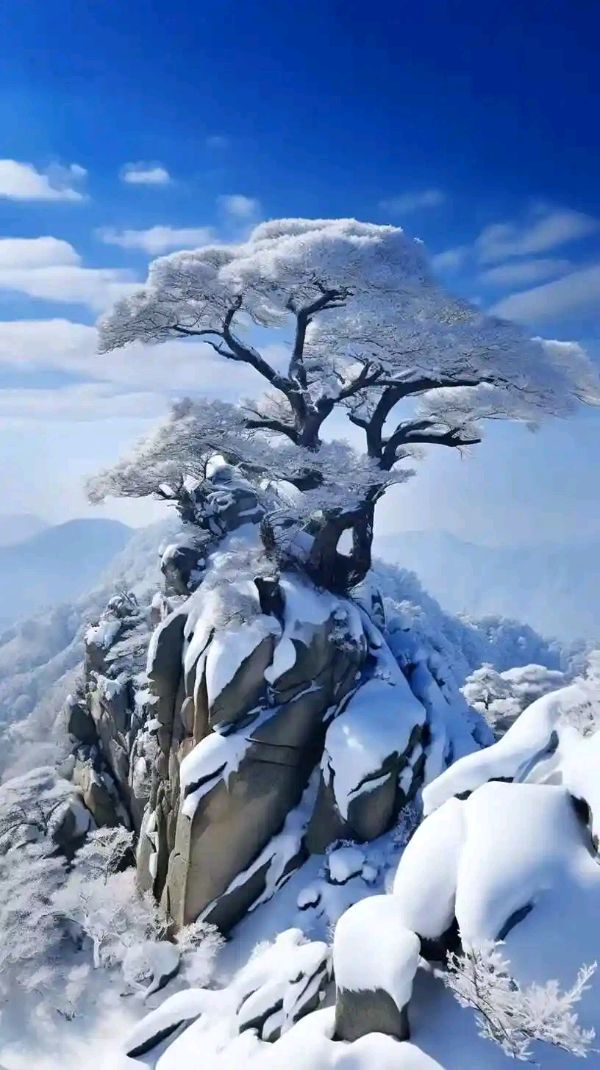欣赏杲传贵老师西江月·《赏雪》（图3）