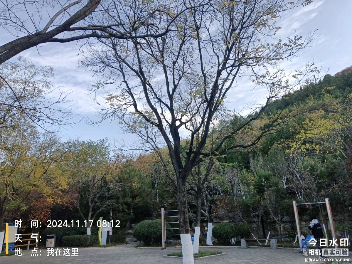 《遗憾，我不能和你同船》