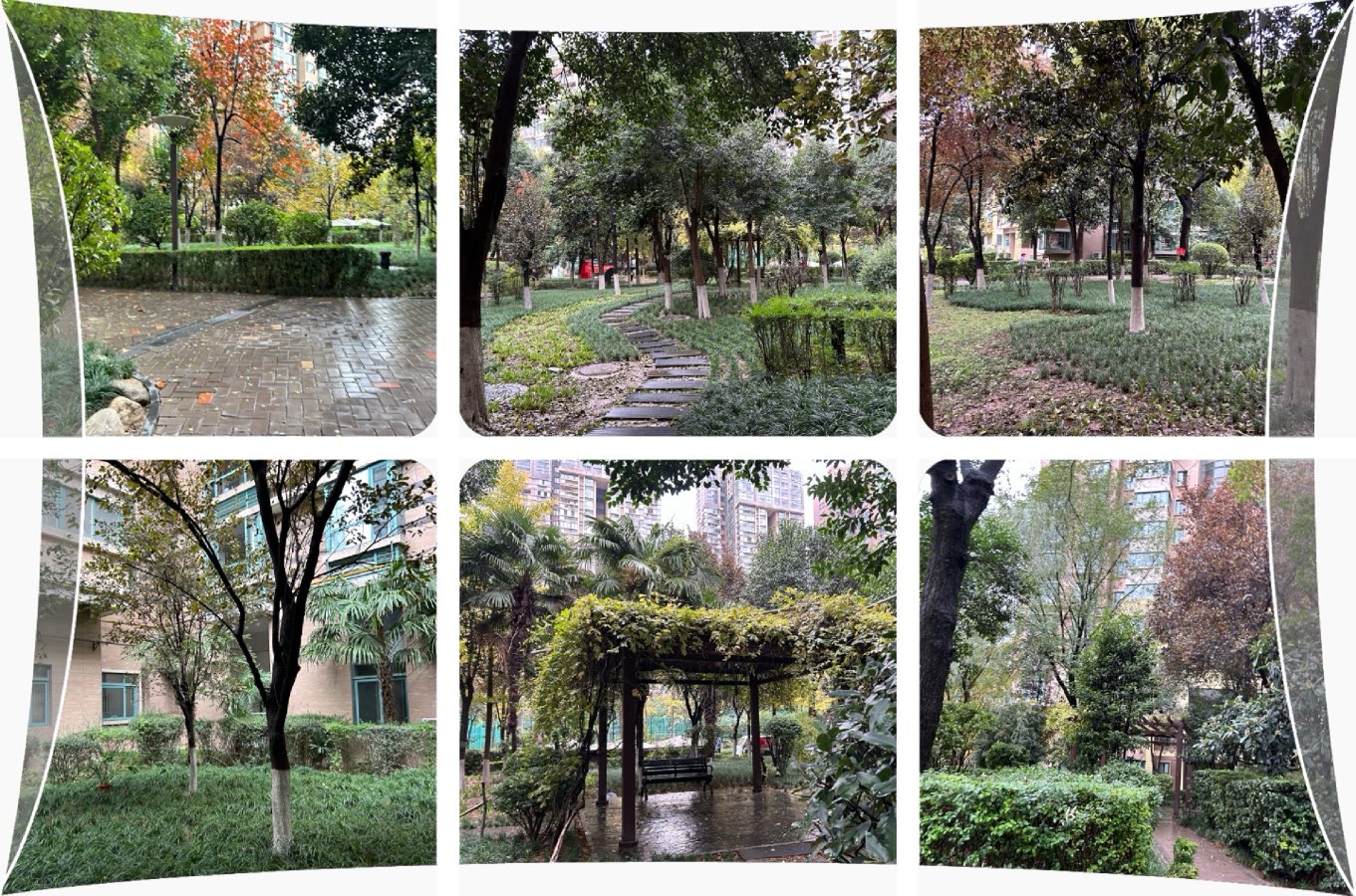 【❄️冬景集】C第37集（图2）