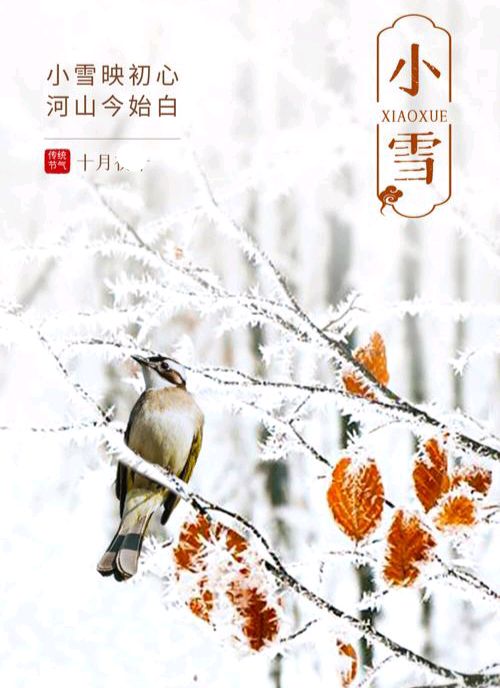 《小雪节气前后养生之道》文:强军/陕西宝鸡（图2）
