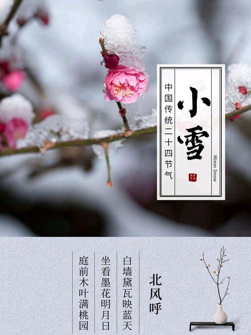 《小雪节气前后养生之道》文:强军/陕西宝鸡（图9）