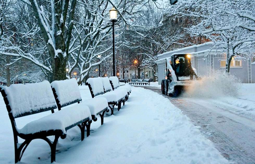 【荣耀中国】《大雪》感怀丰茂春作于甲辰（图5）