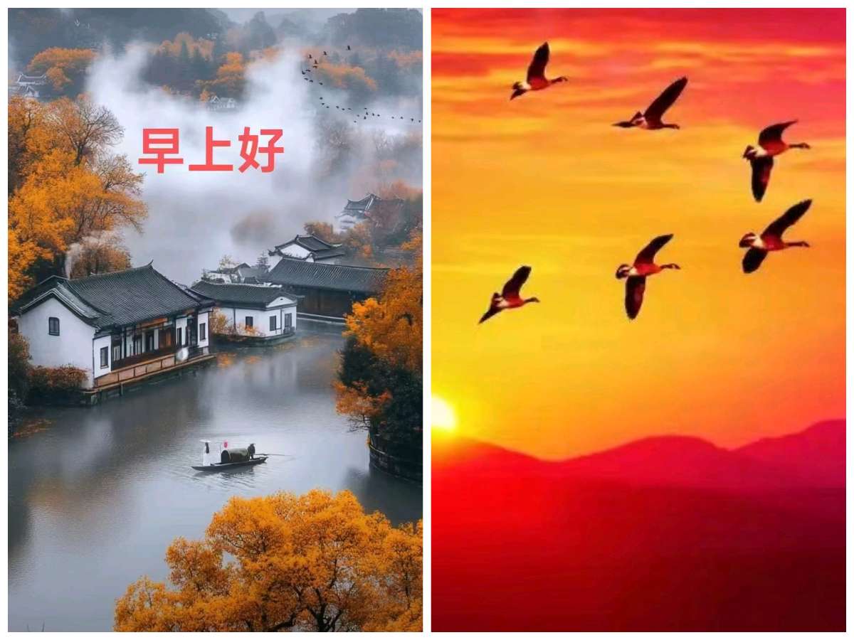 【重磅推出】鲁坡//贵有闲情赋雅诗[万事皆求向善行]（图4）