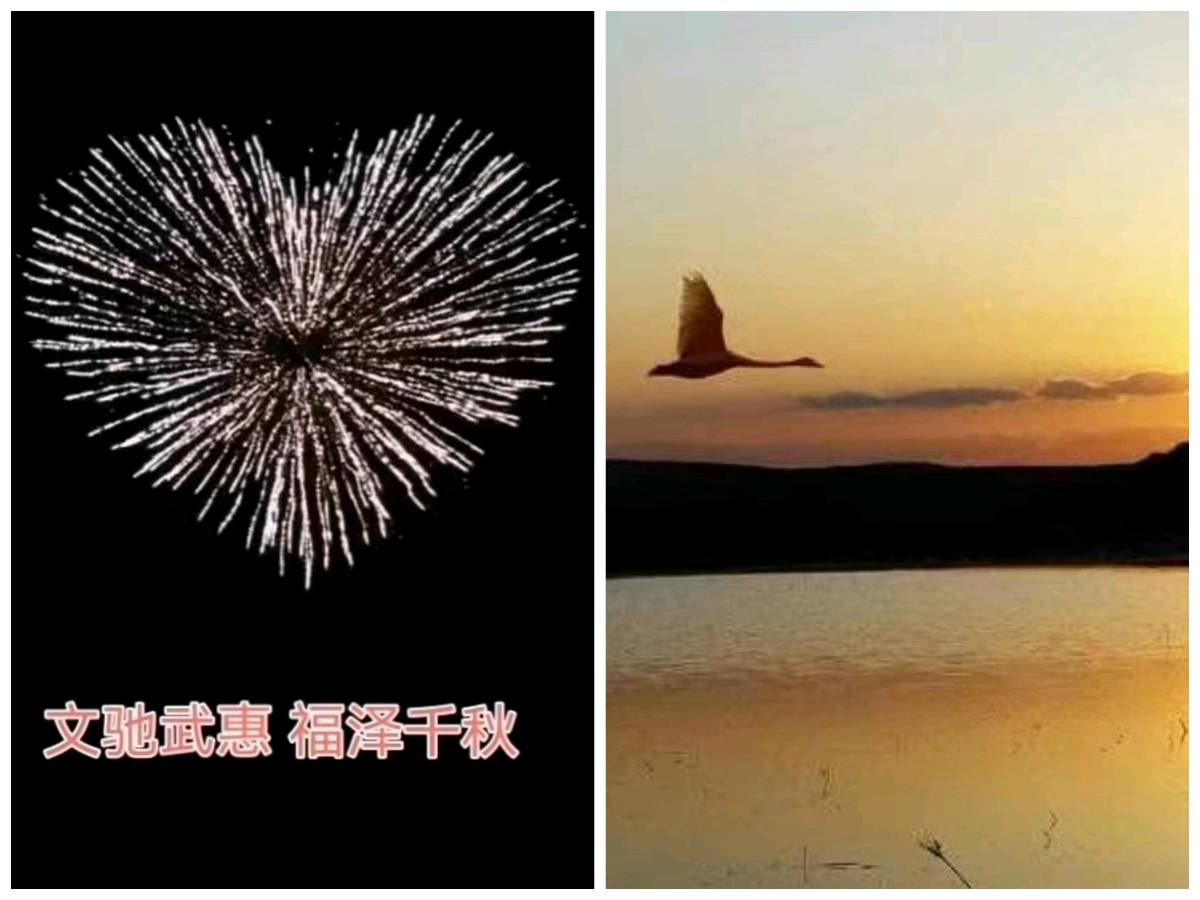 【重磅推出】鲁坡//贵有闲情赋雅诗[万事皆求向善行]（图5）