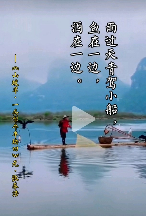 旭日东升（長民）分镜头编辑∥元代. 张养浩《山坡羊》一头犂牛.半块田（图11）