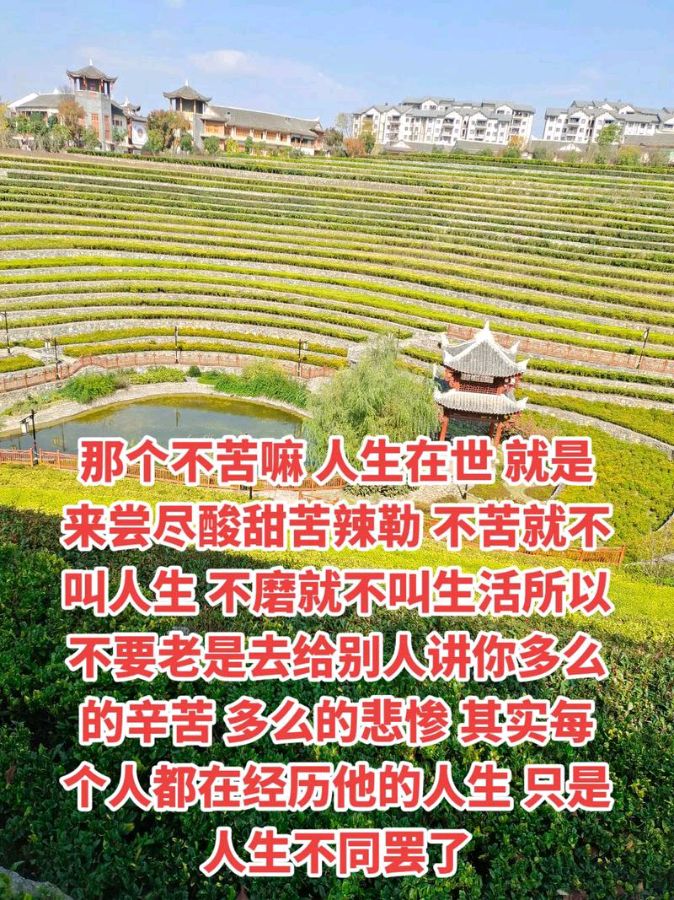 《生活就是酸甜苦辣》作者:强军/陕西宝鸡（图3）