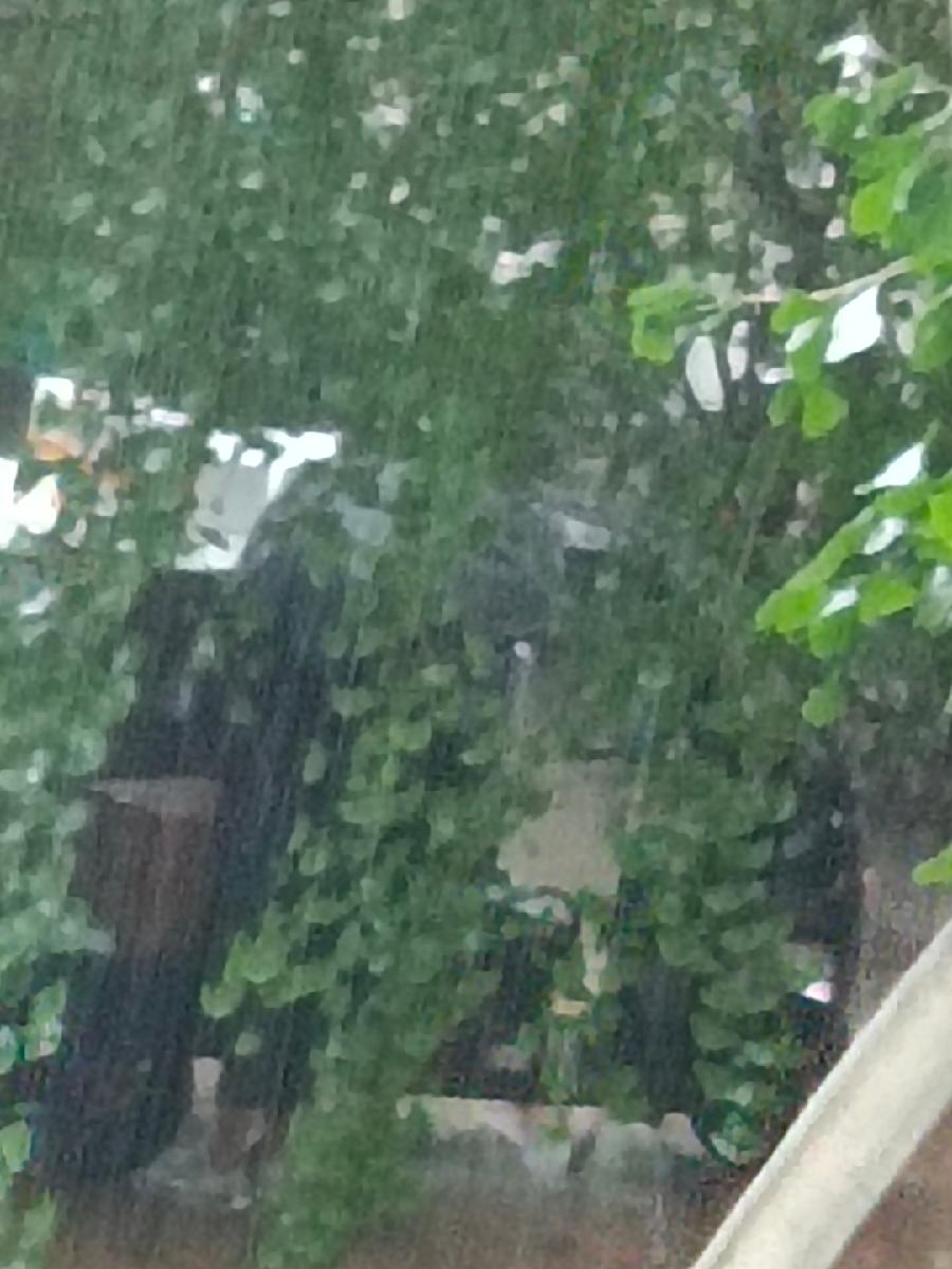 朱赤：《梦之三：谁送雨衣来……》海外头条（图5）